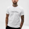 Limited Edition 2024 Calvin Klein Unisex T-Shirt DN9120602