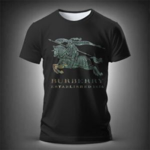 Limited Edition Burberry T Shirts - DN262405166