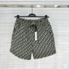 Limited Edition DIOR Beach Shorts - HH003403