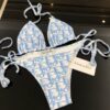Limited Edition Dior Bikini - DN26110550