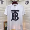 Limited Edition Burberry T Shirts - HC-TX-Max4923
