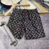 Louis Vuitton Short Pants Men DN26040539