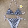 Limited Edition Dior Bikini - DN26110526